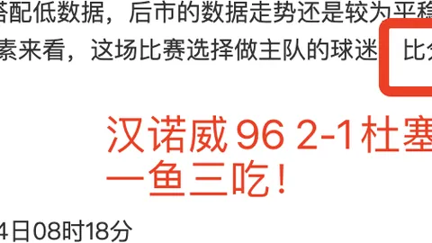 欧文左膝前交叉韧带修复成功，关节与半月板无损
